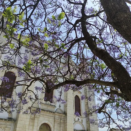 Casa Alegria Villa *