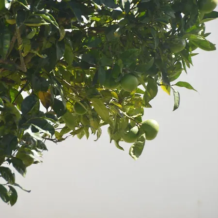 Casa Alegria 别墅 *