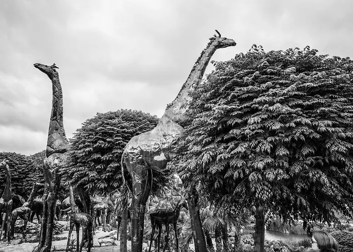 Willa Casa Alegria *