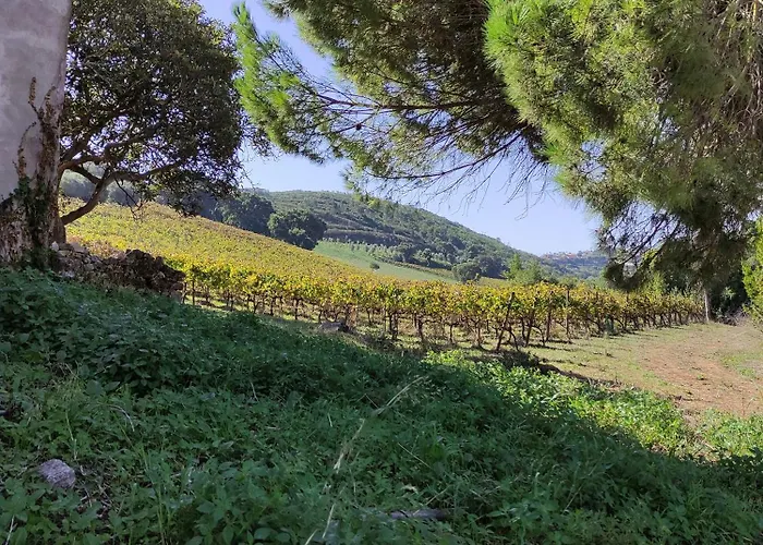 Casa Alegria Willa *