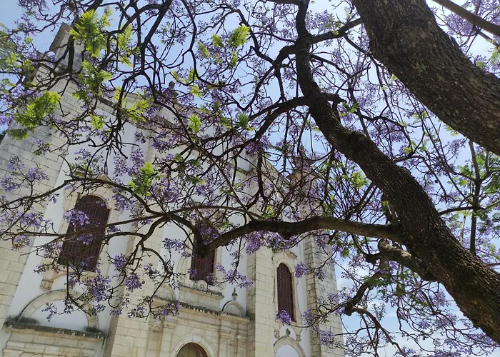 Casa Alegria Willa *